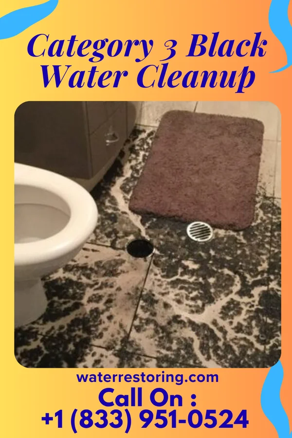 Category 3 Black Water Cleanup in Pine Air, FL