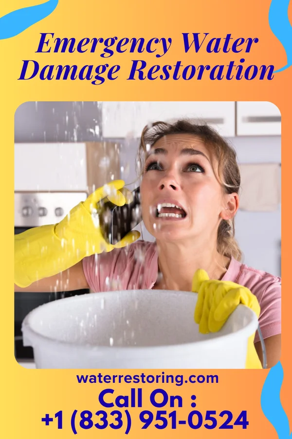 Emergency Water Damage Restoration in Pine Air, FL