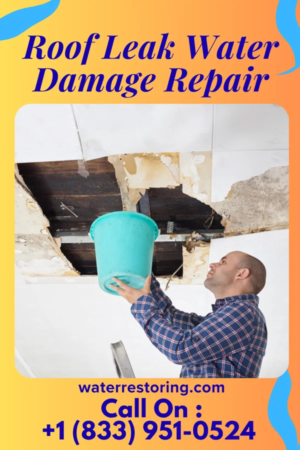 Roof Leak Water Damage Repair in Pine Air, FL